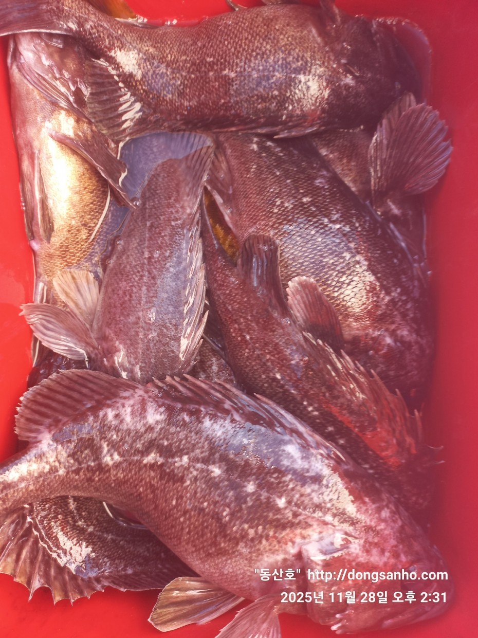 3120293bfb324c82bb29ecd1297a955e_1764345