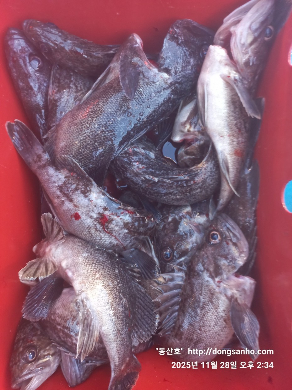 3120293bfb324c82bb29ecd1297a955e_1764345