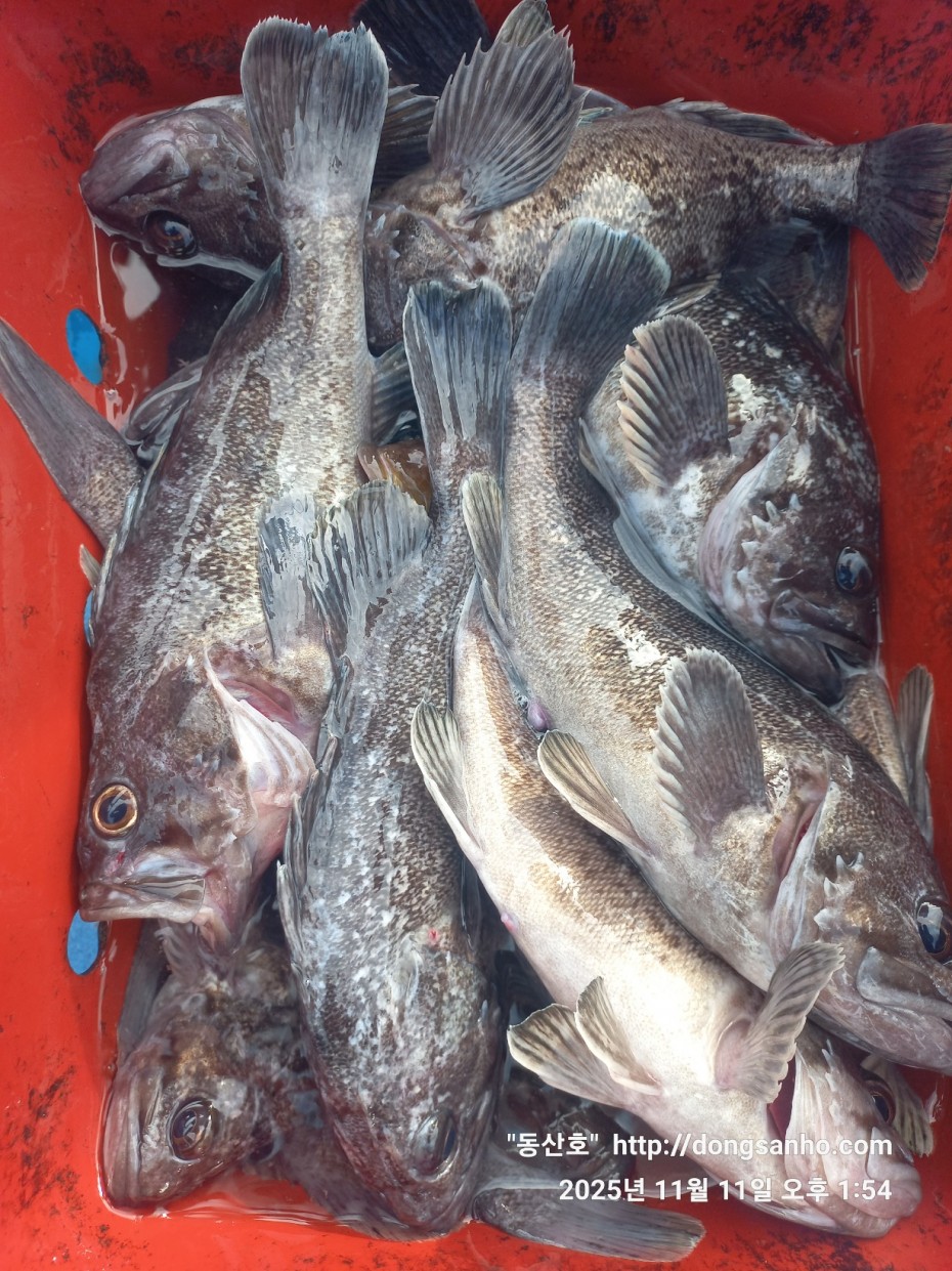 3d98df889f2608bdc680eff2bafe41ce_1762871