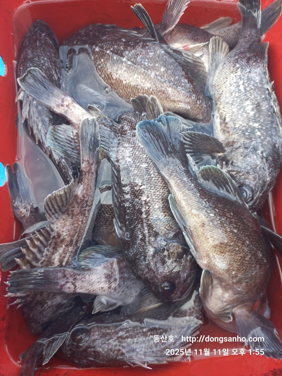 3d98df889f2608bdc680eff2bafe41ce_1762871