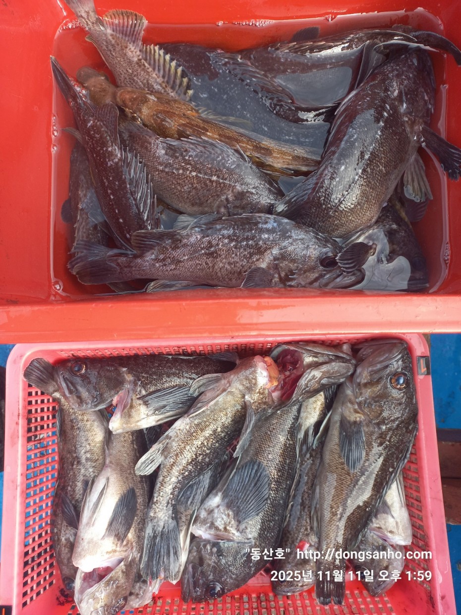 3d98df889f2608bdc680eff2bafe41ce_1762871