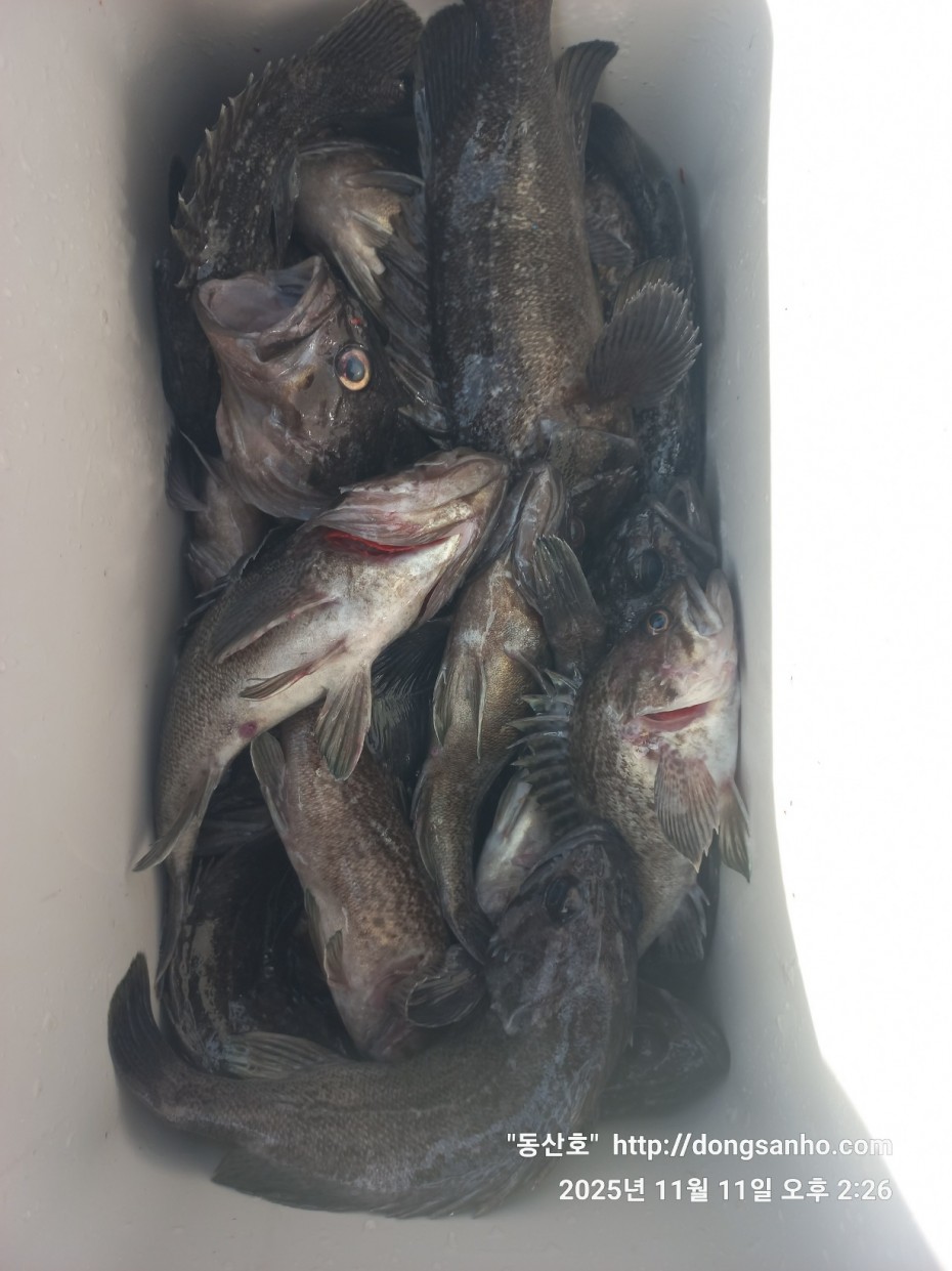 3d98df889f2608bdc680eff2bafe41ce_1762871