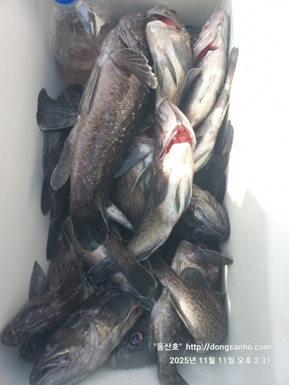 3d98df889f2608bdc680eff2bafe41ce_1762871