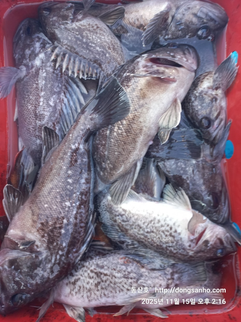 548679a1549b9f442f4852daebc8dff4_1763336