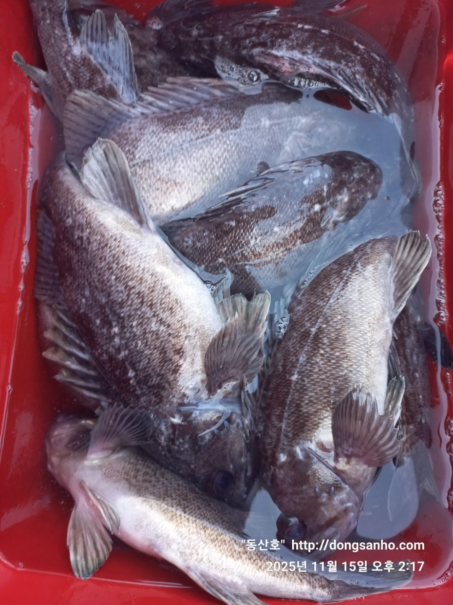 548679a1549b9f442f4852daebc8dff4_1763336