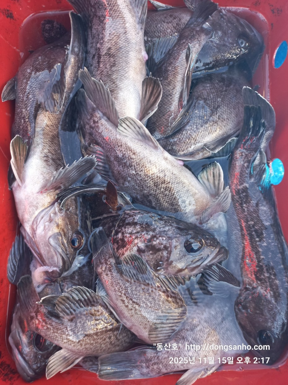 548679a1549b9f442f4852daebc8dff4_1763336