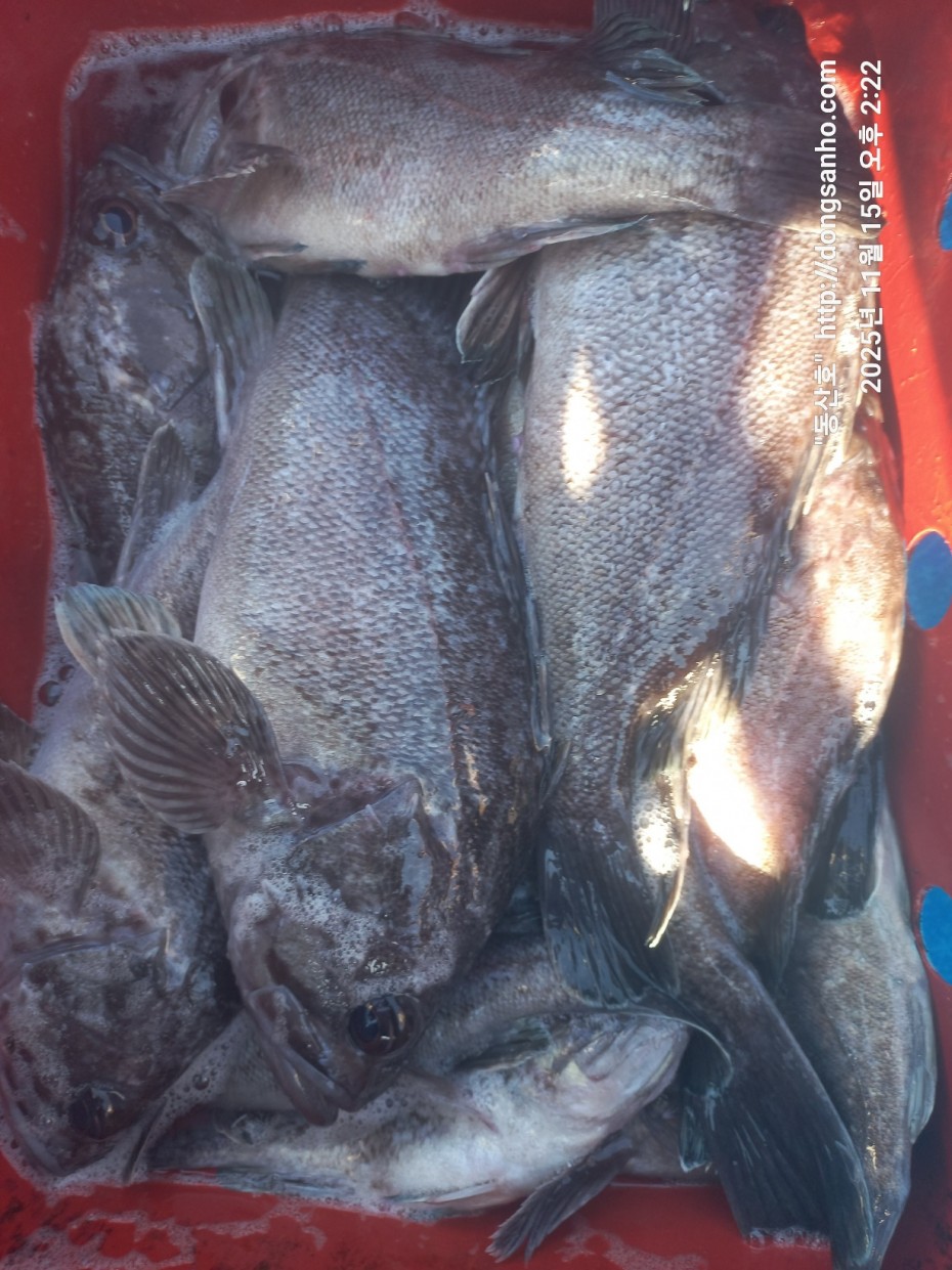 548679a1549b9f442f4852daebc8dff4_1763336