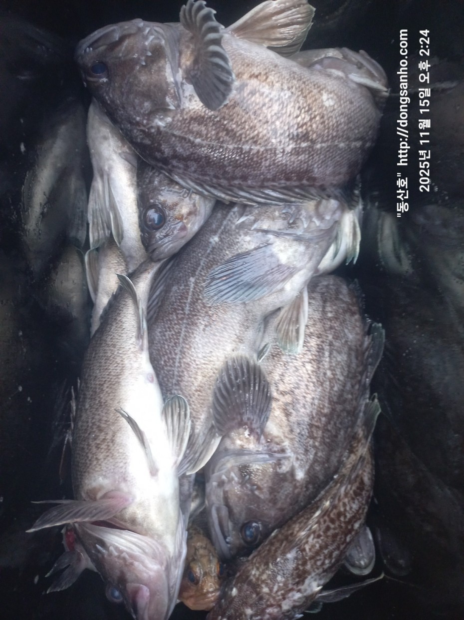 548679a1549b9f442f4852daebc8dff4_1763336