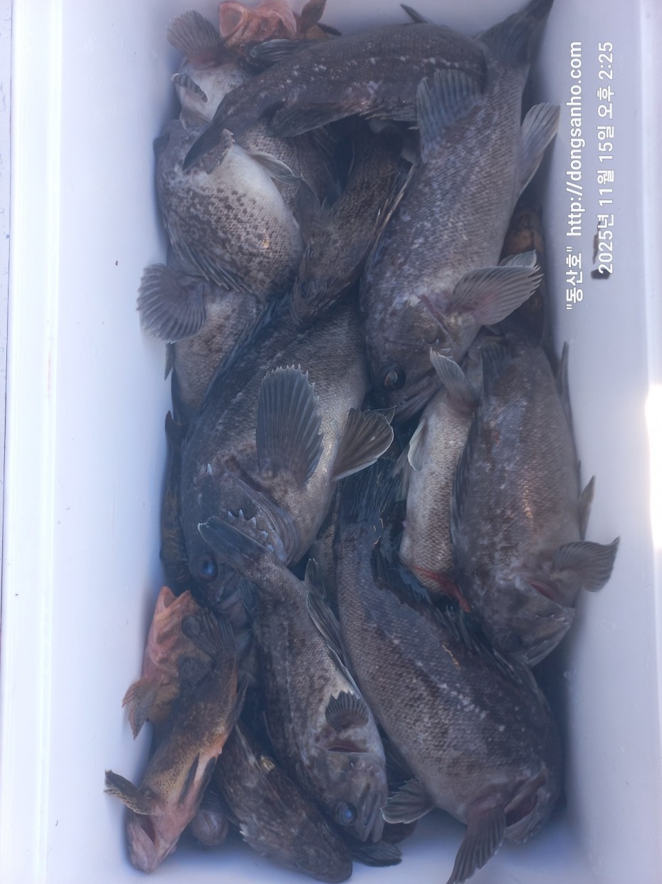 548679a1549b9f442f4852daebc8dff4_1763336