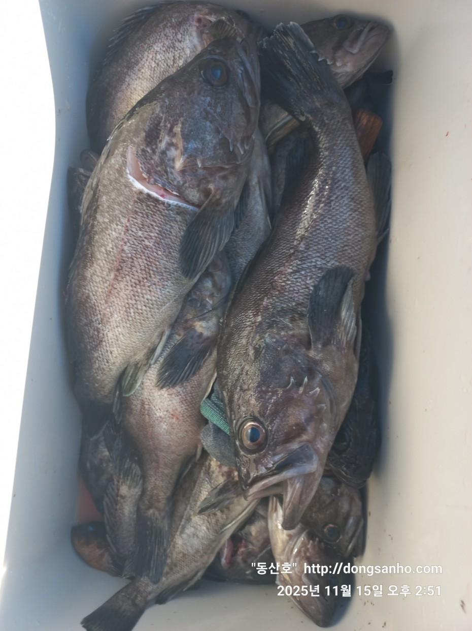 548679a1549b9f442f4852daebc8dff4_1763337