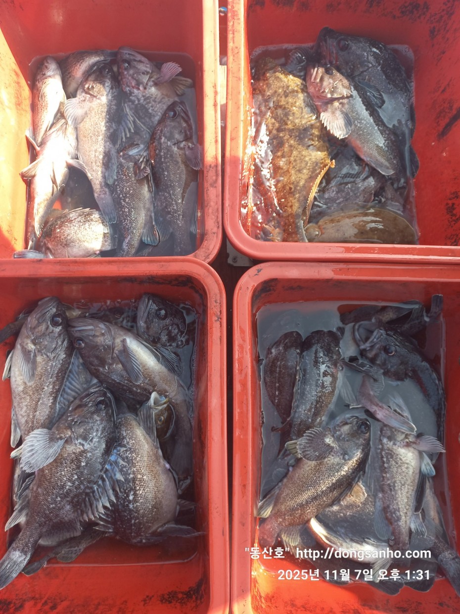 91be5c26f1bfa84e3b76671dc9c8f648_1762544