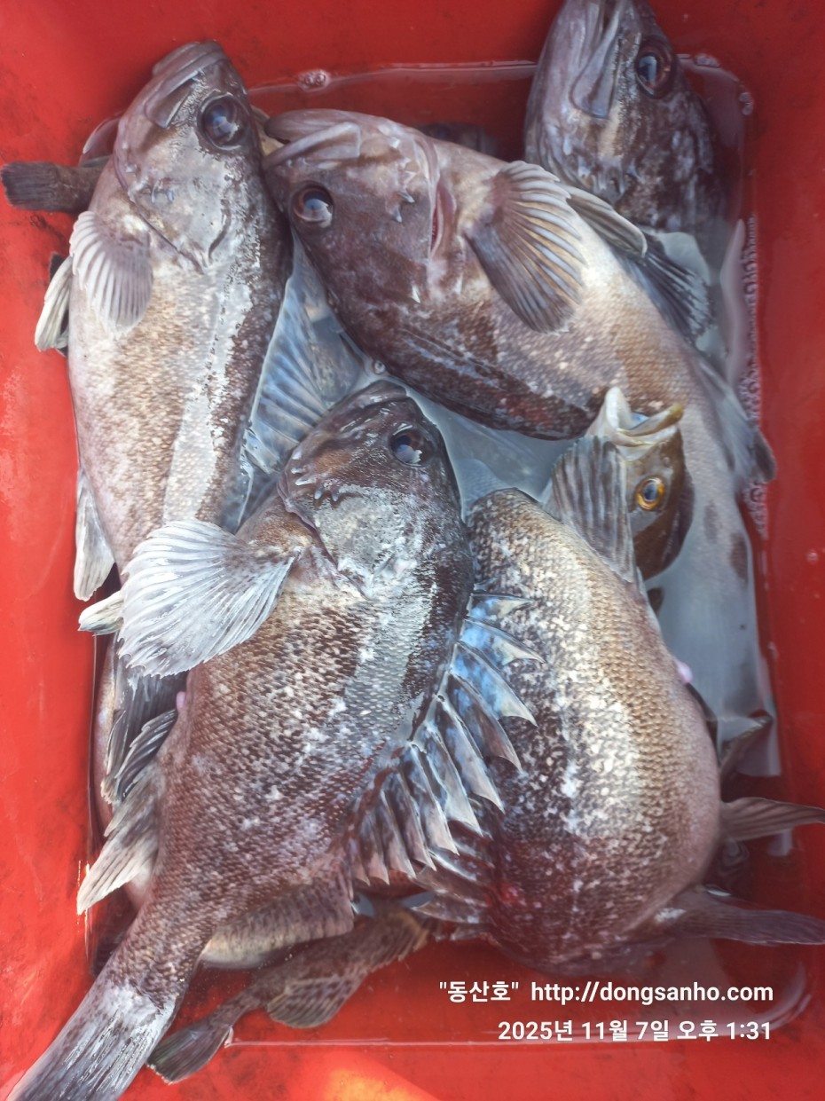 91be5c26f1bfa84e3b76671dc9c8f648_1762544