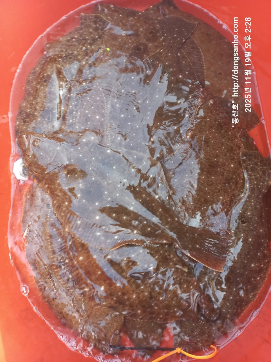 e0d53644ff09b9d93490c76a77c8ac9d_1763568