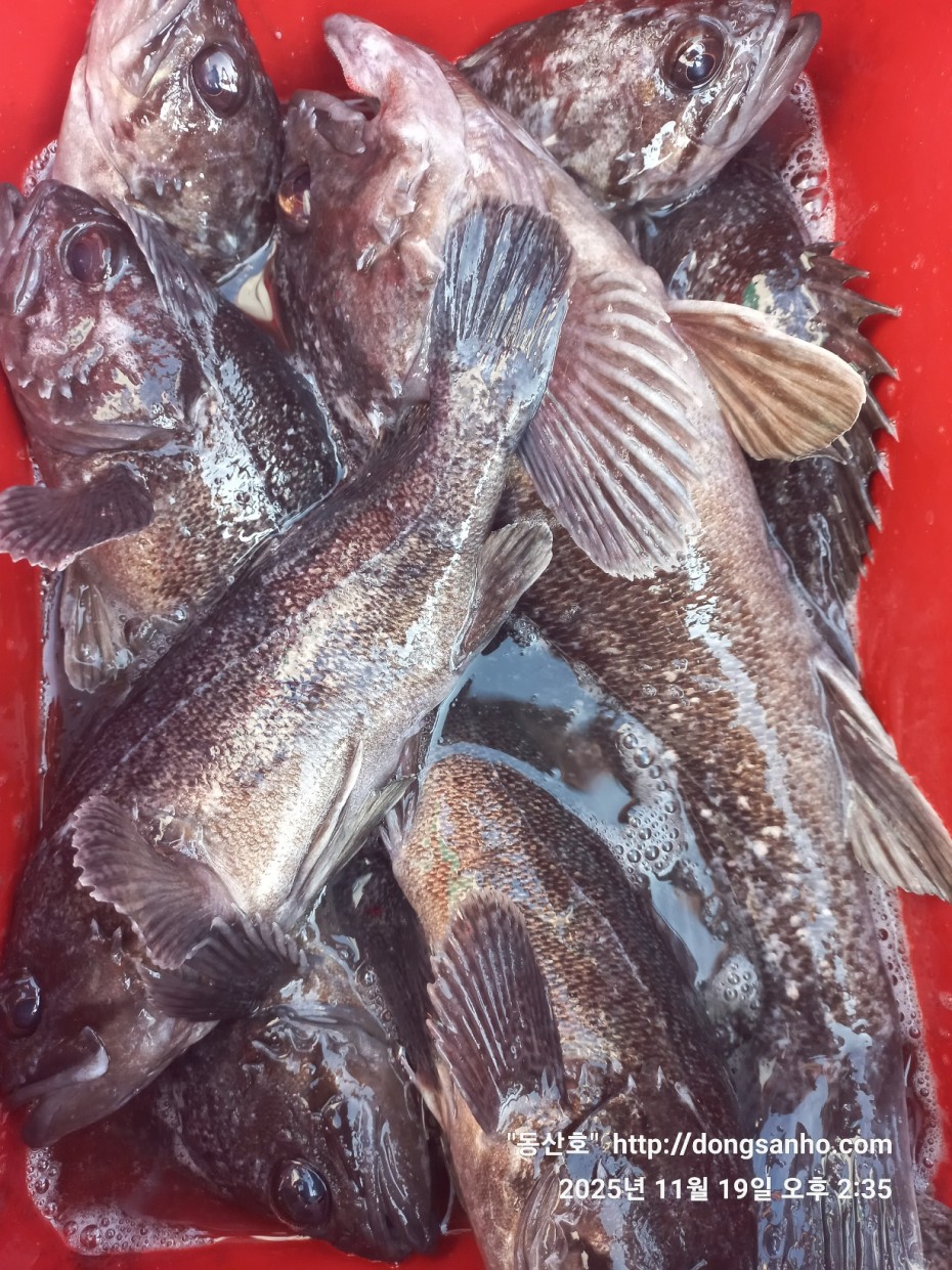 e0d53644ff09b9d93490c76a77c8ac9d_1763568