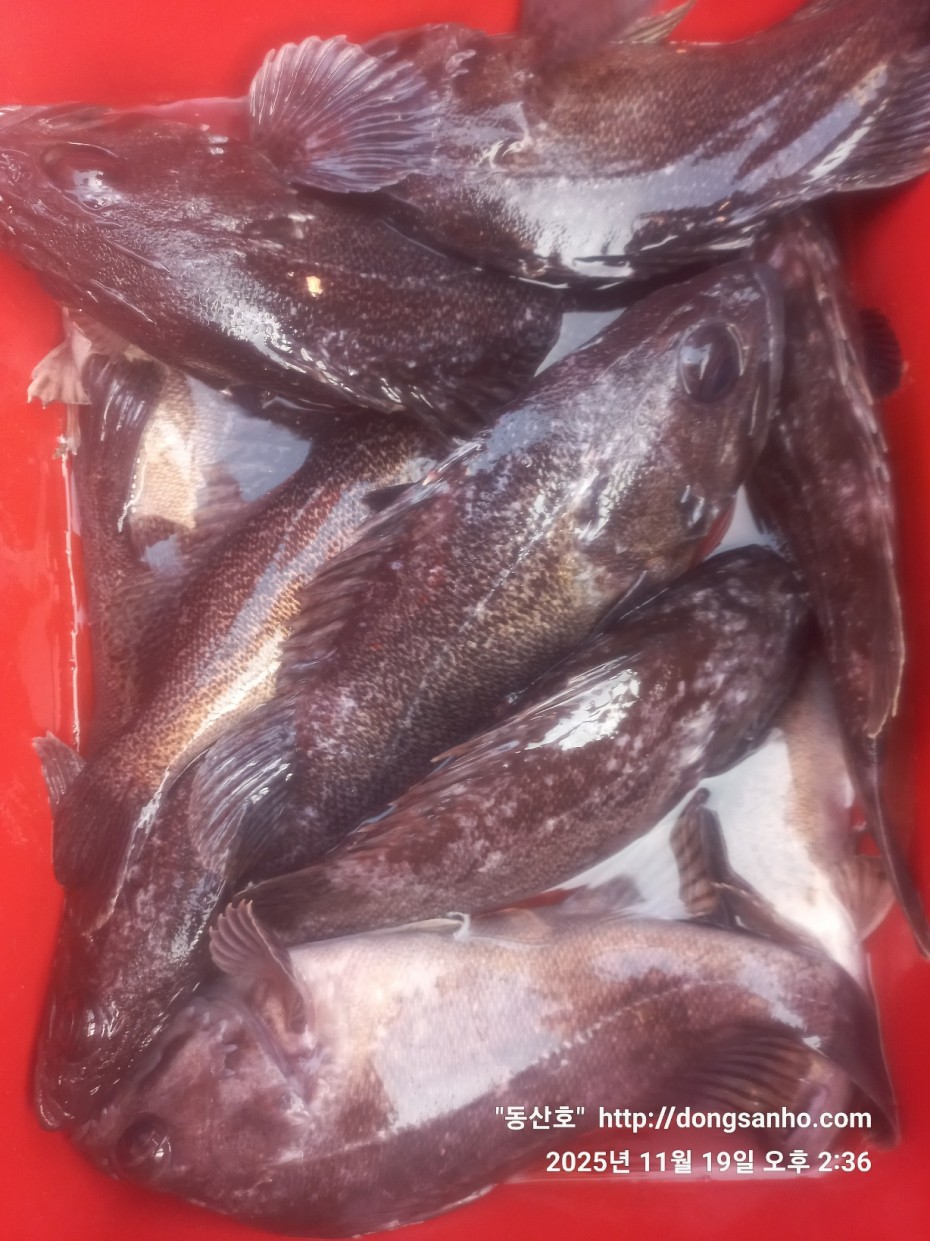 e0d53644ff09b9d93490c76a77c8ac9d_1763568