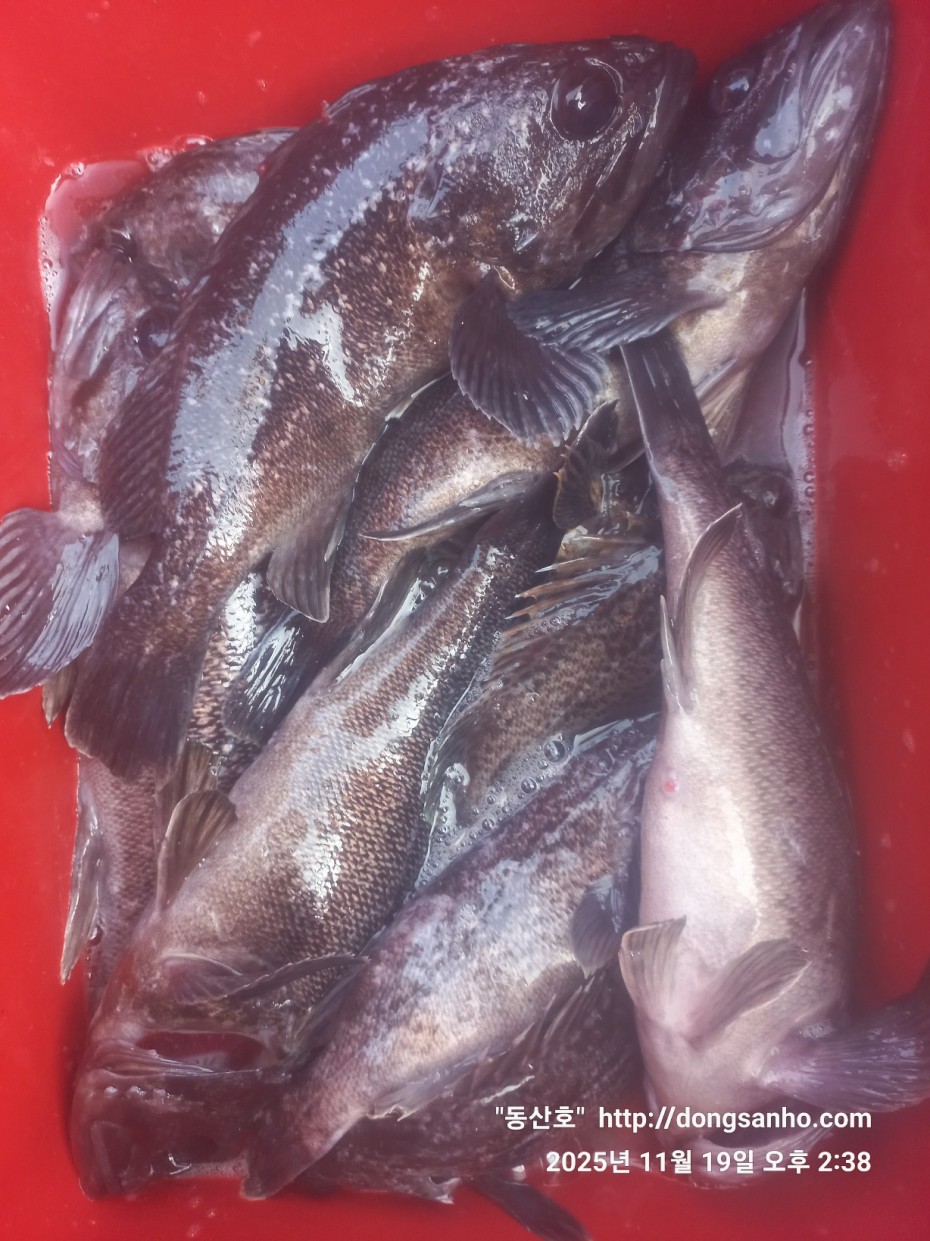 e0d53644ff09b9d93490c76a77c8ac9d_1763568