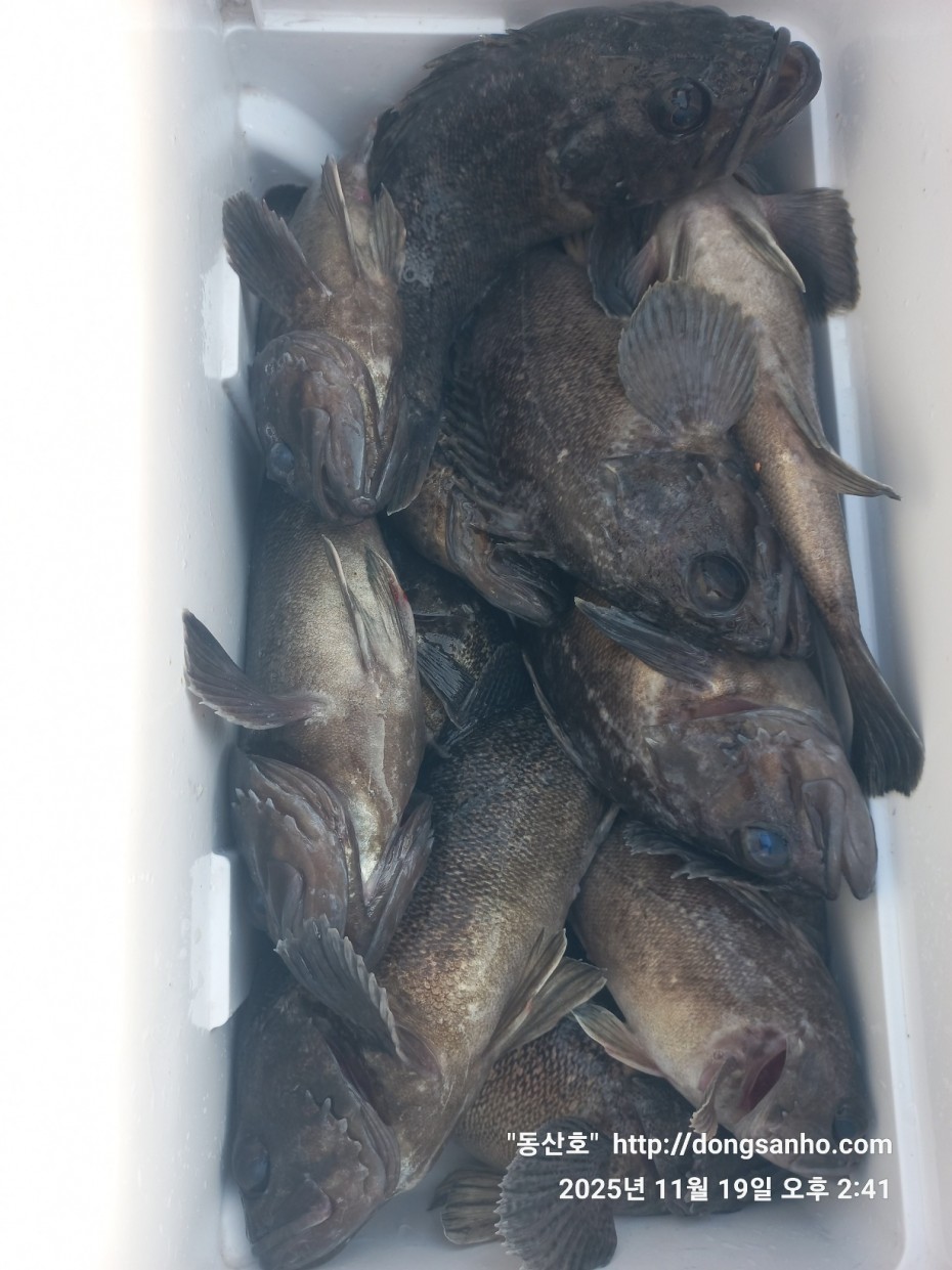 e0d53644ff09b9d93490c76a77c8ac9d_1763568