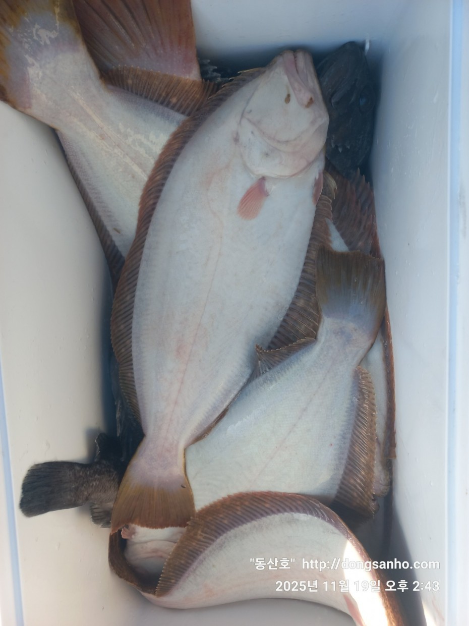 e0d53644ff09b9d93490c76a77c8ac9d_1763568