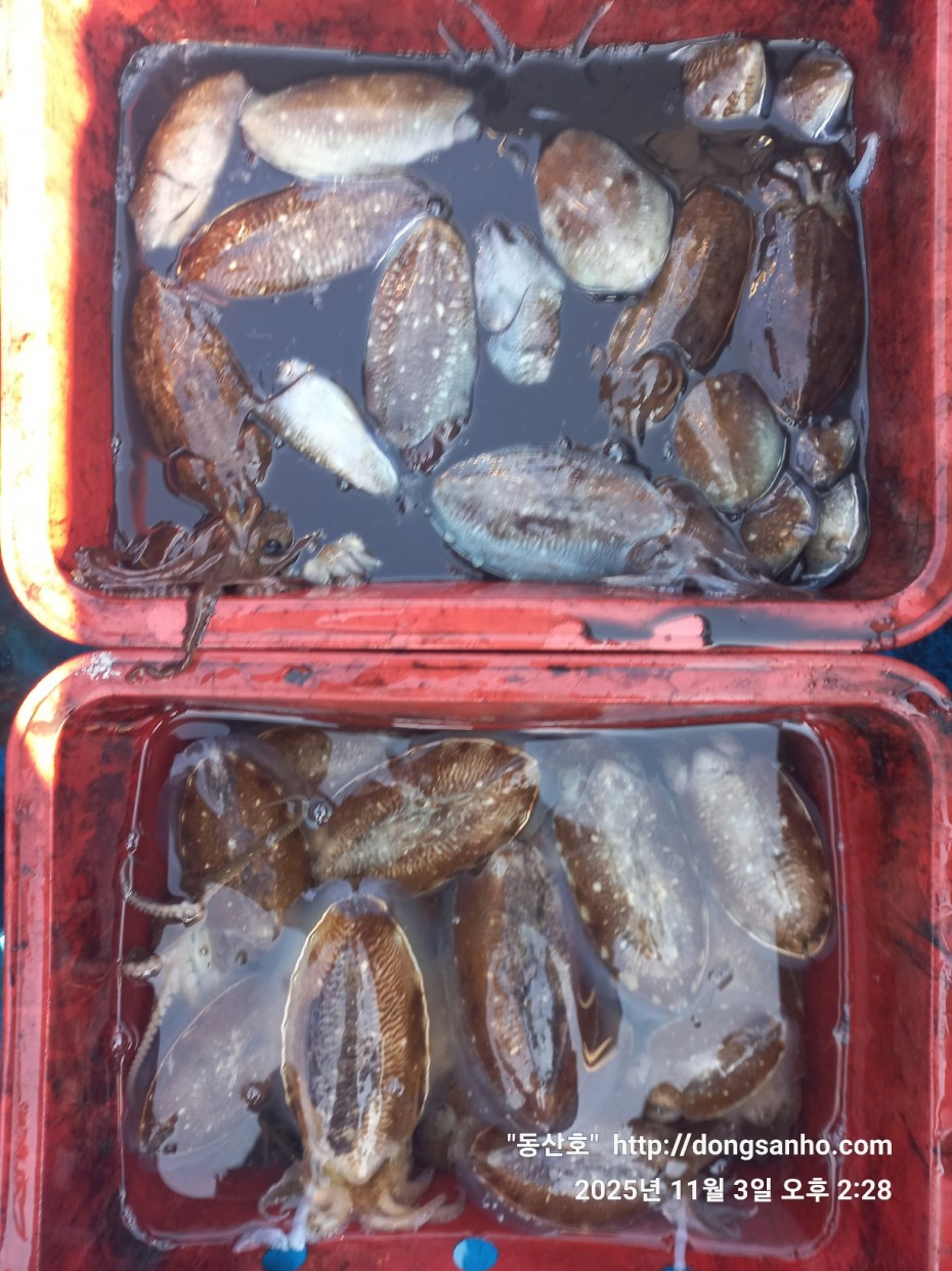 ec09508a30d20fd56dfd984673baca23_1762181