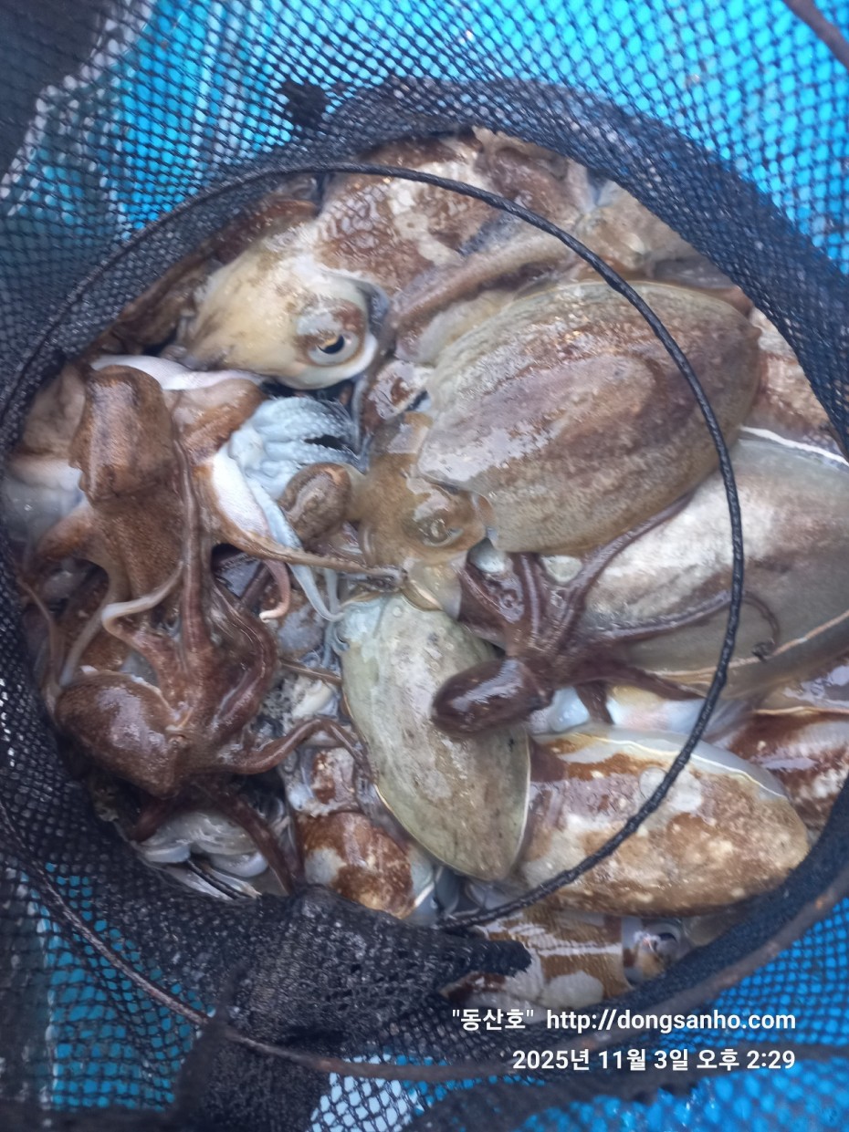 ec09508a30d20fd56dfd984673baca23_1762181