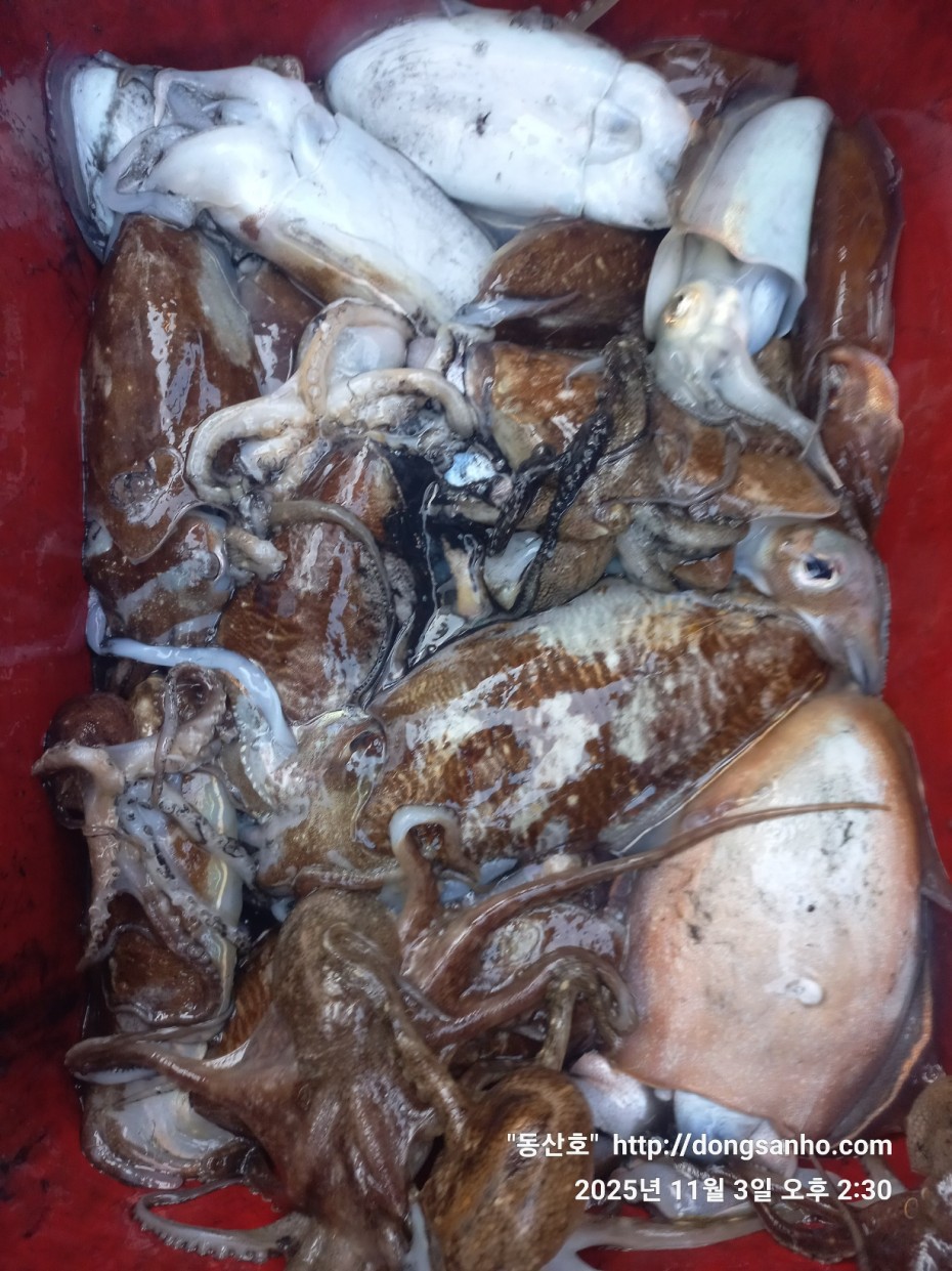 ec09508a30d20fd56dfd984673baca23_1762181