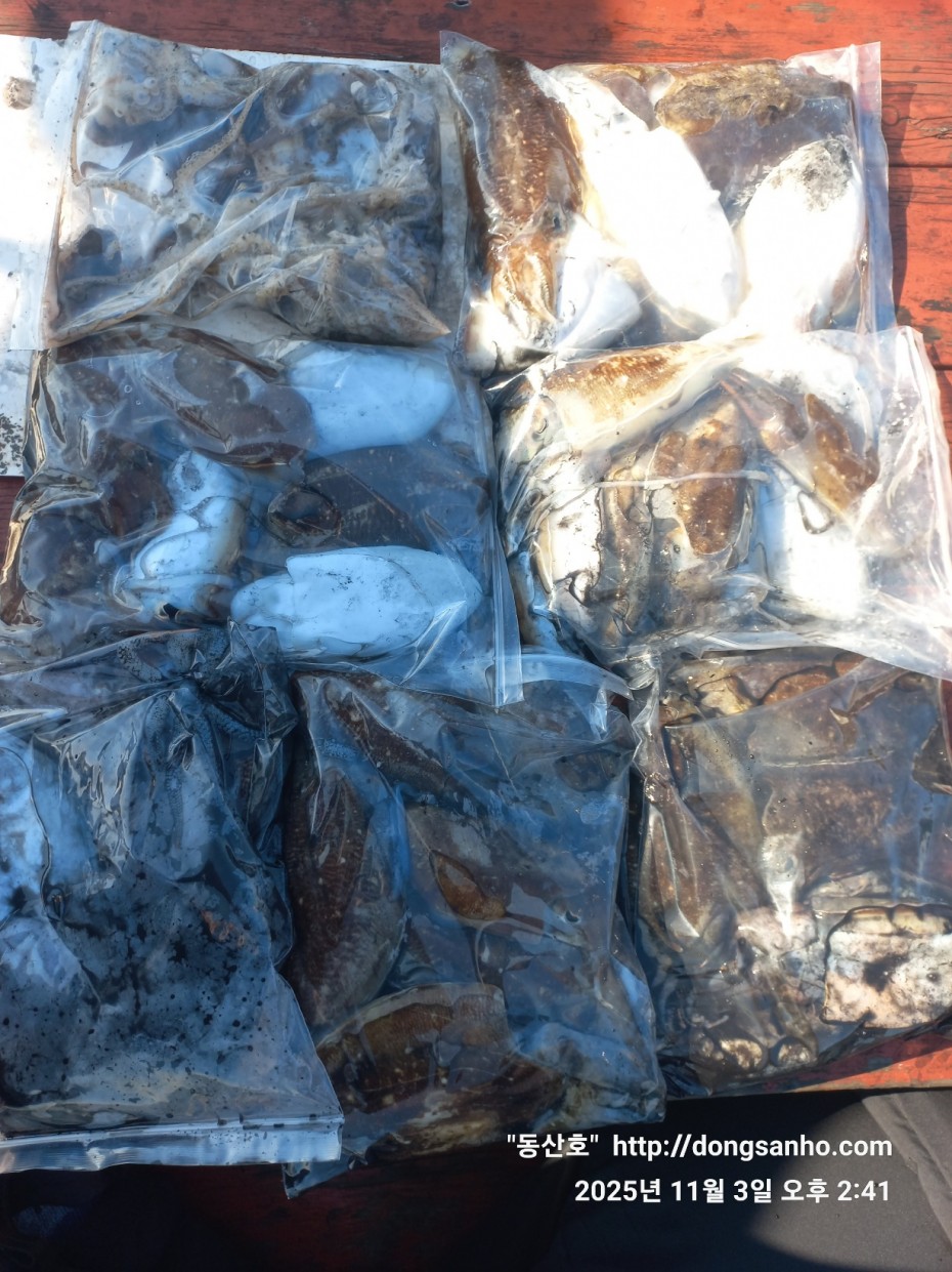 ec09508a30d20fd56dfd984673baca23_1762181