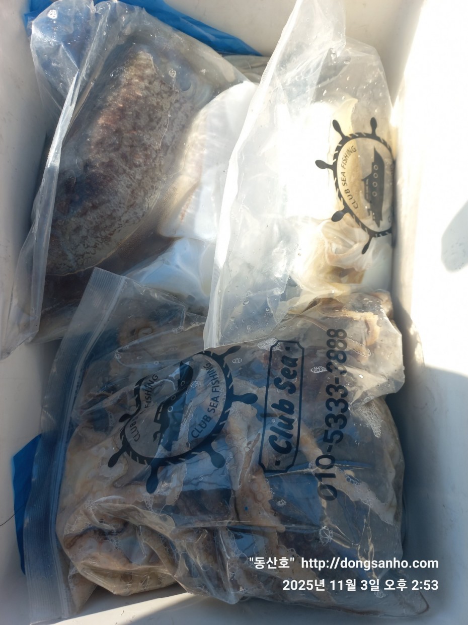 ec09508a30d20fd56dfd984673baca23_1762181