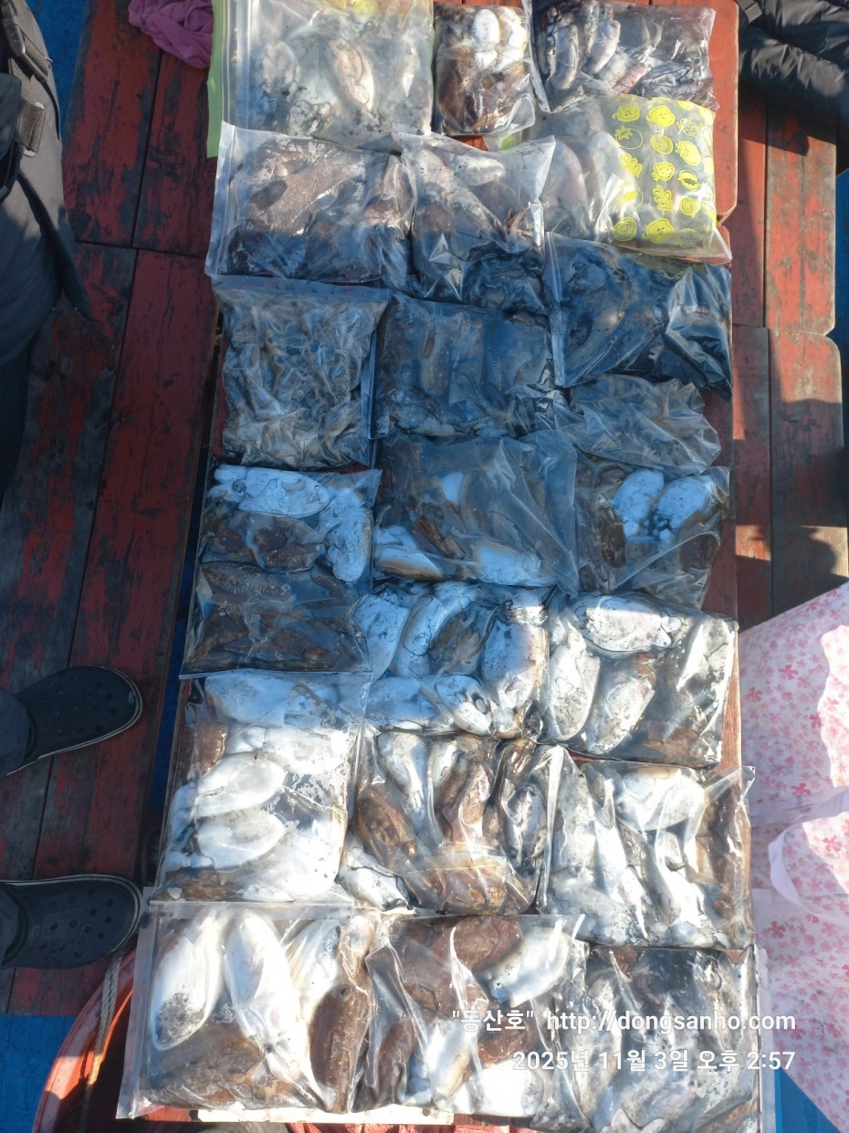 ec09508a30d20fd56dfd984673baca23_1762182