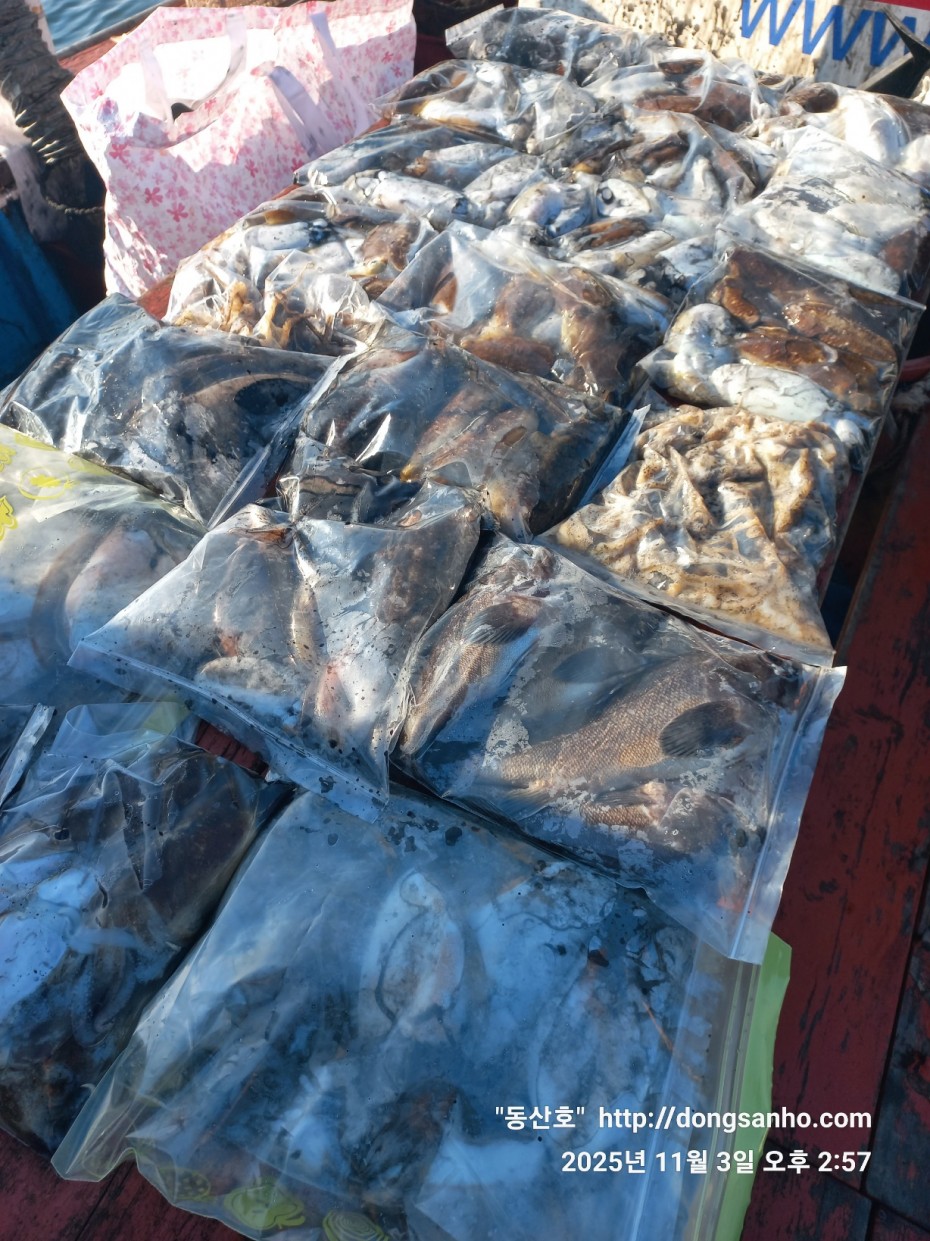 ec09508a30d20fd56dfd984673baca23_1762182