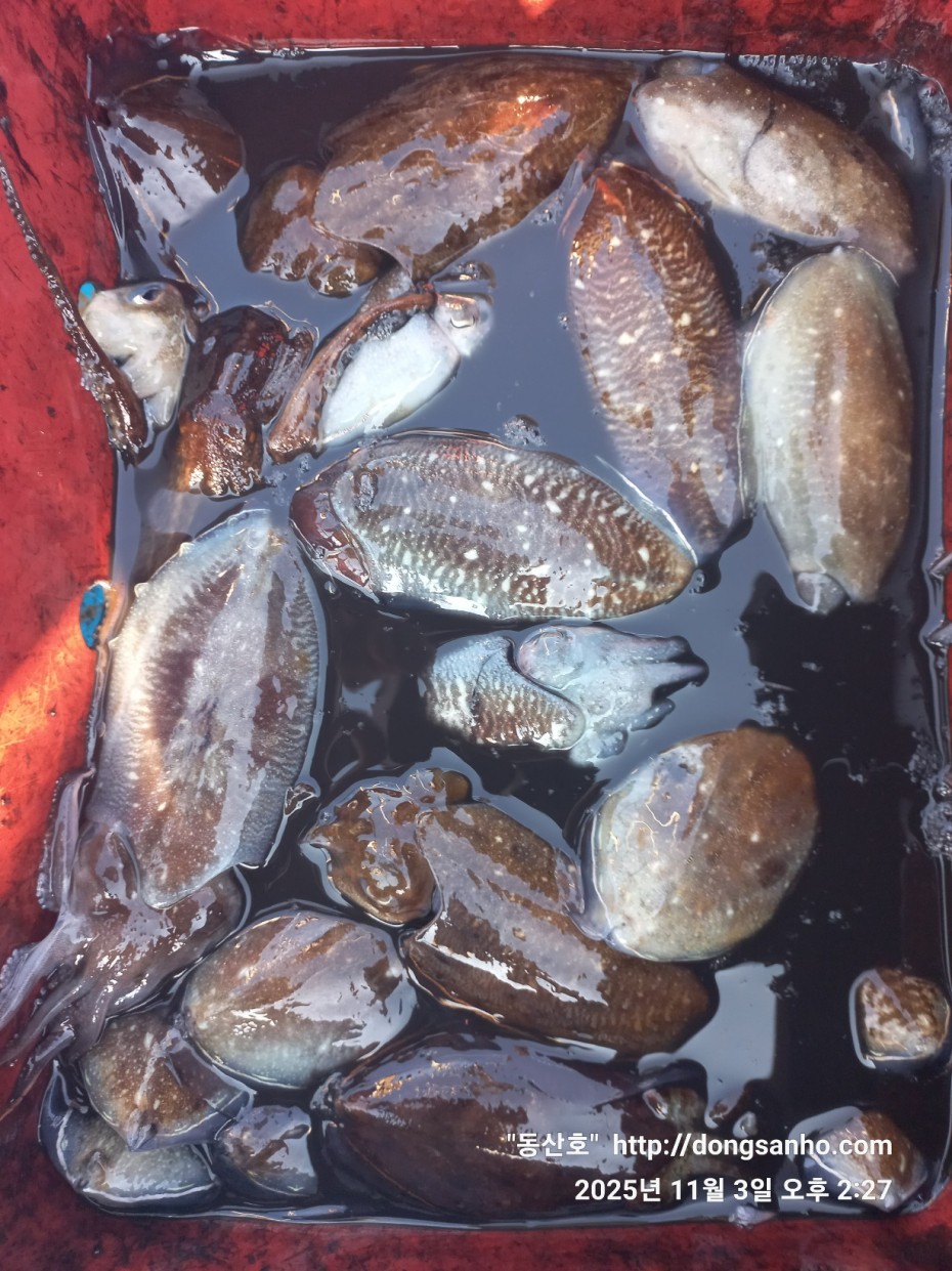 ec09508a30d20fd56dfd984673baca23_1762184