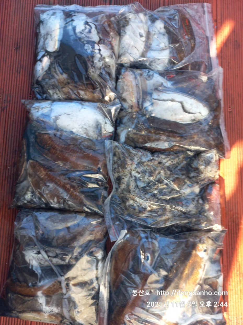 ec09508a30d20fd56dfd984673baca23_1762185