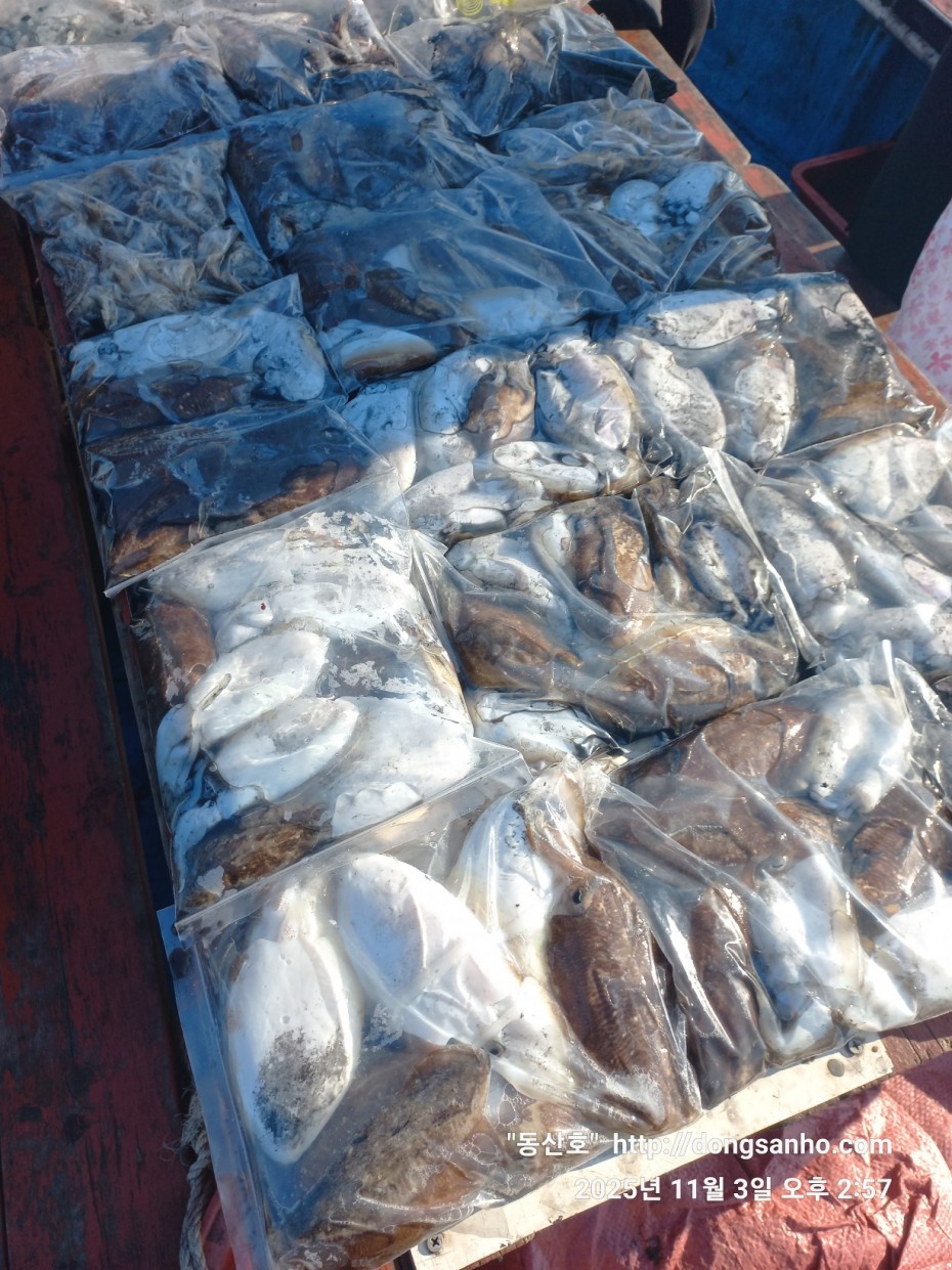 ec09508a30d20fd56dfd984673baca23_1762185