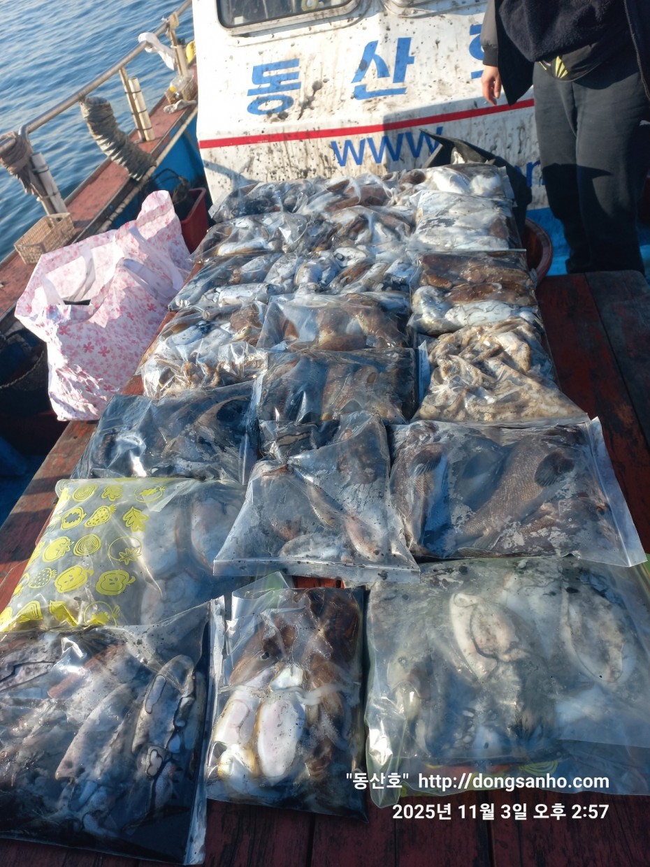 ec09508a30d20fd56dfd984673baca23_1762185