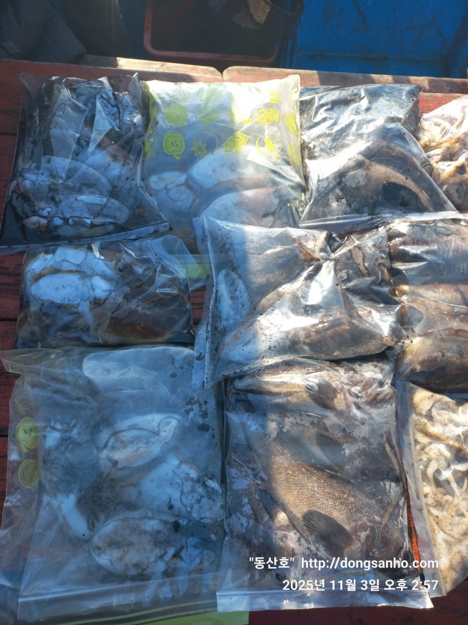 ec09508a30d20fd56dfd984673baca23_1762185