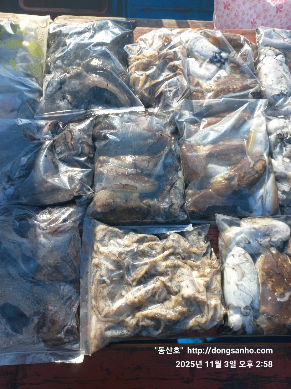 ec09508a30d20fd56dfd984673baca23_1762185