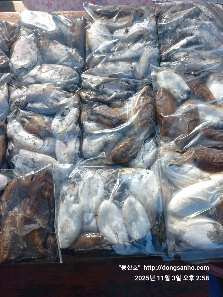 ec09508a30d20fd56dfd984673baca23_1762185