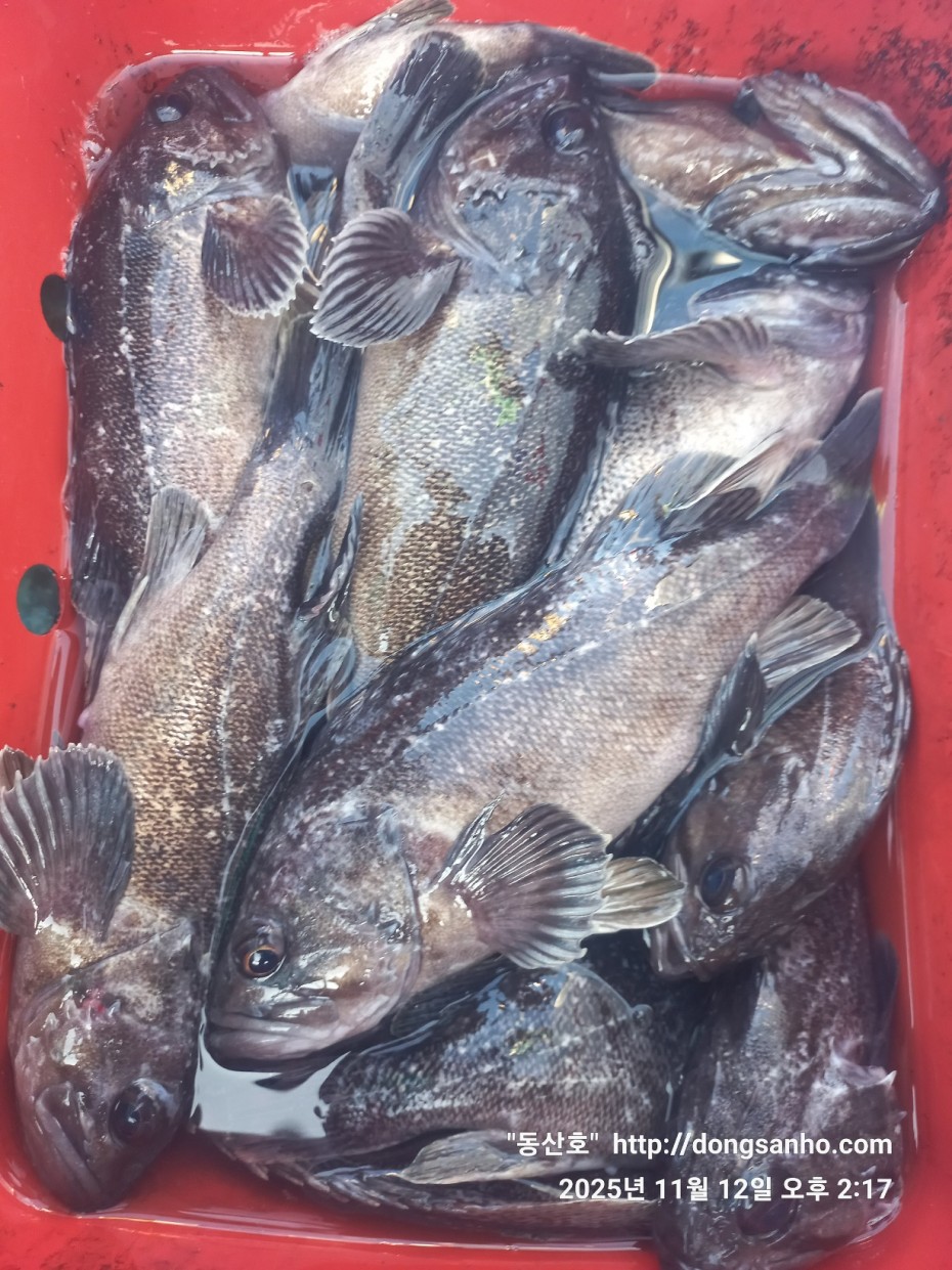 efee4ef6647736092ff8538e2f4cf72d_1762966