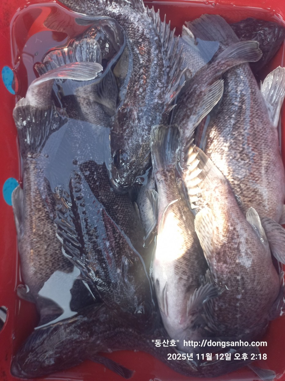 efee4ef6647736092ff8538e2f4cf72d_1762966