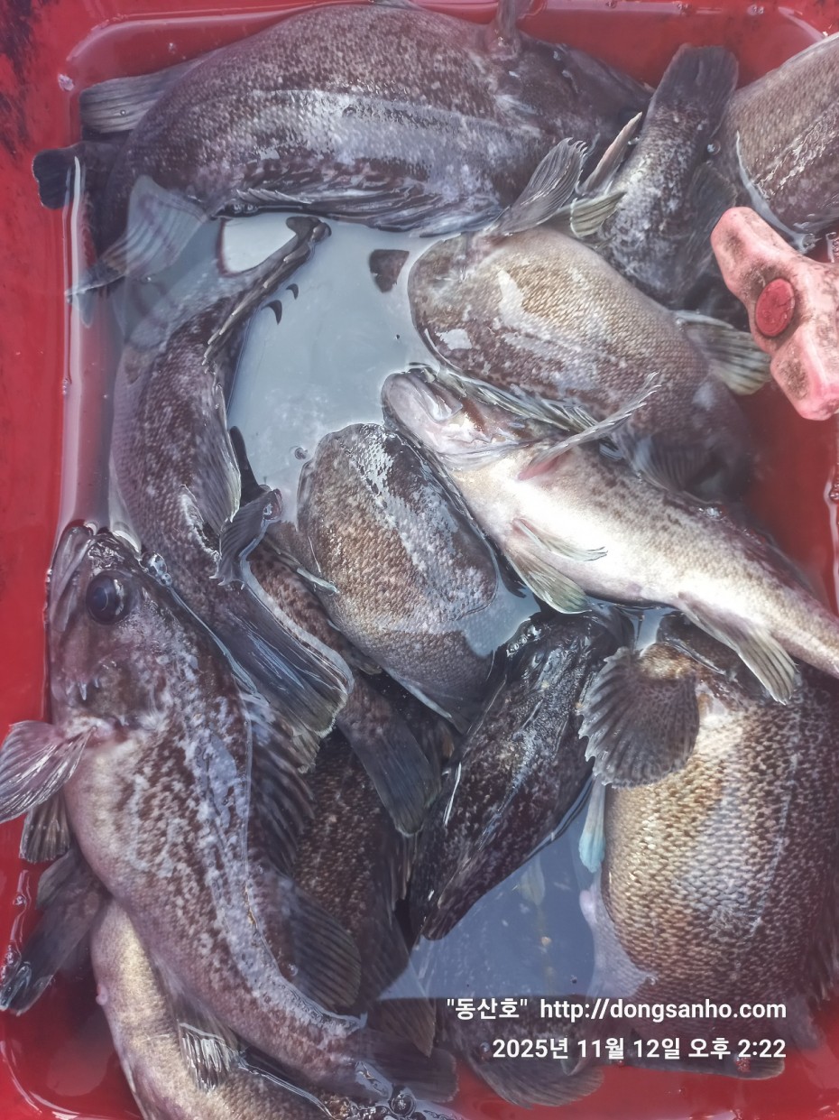 efee4ef6647736092ff8538e2f4cf72d_1762966