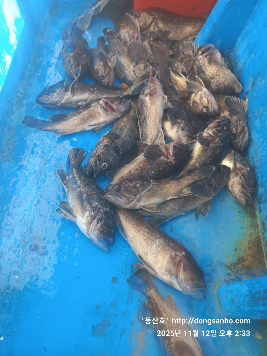 efee4ef6647736092ff8538e2f4cf72d_1762966