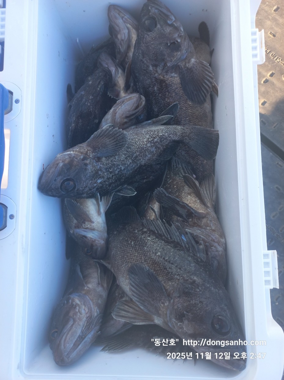 efee4ef6647736092ff8538e2f4cf72d_1762966