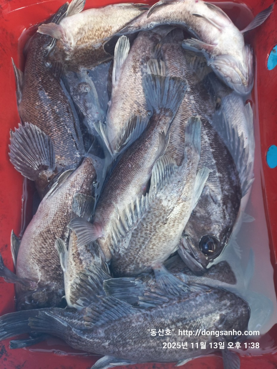 efee4ef6647736092ff8538e2f4cf72d_1763050