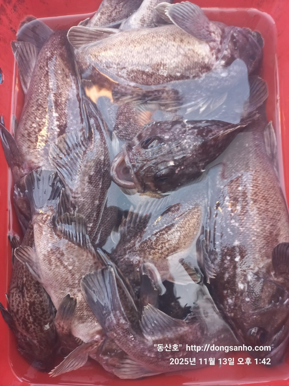 efee4ef6647736092ff8538e2f4cf72d_1763050