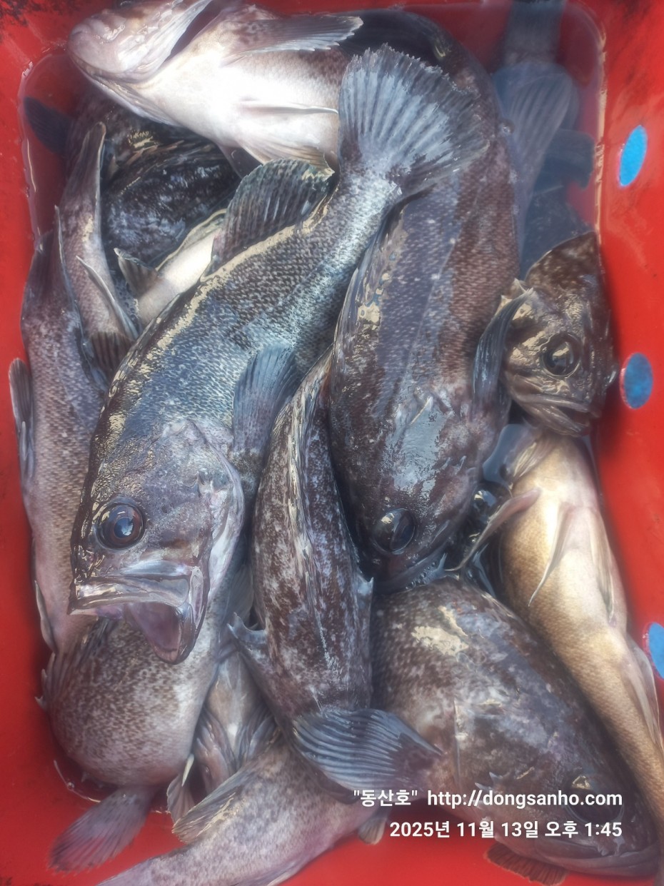 efee4ef6647736092ff8538e2f4cf72d_1763050