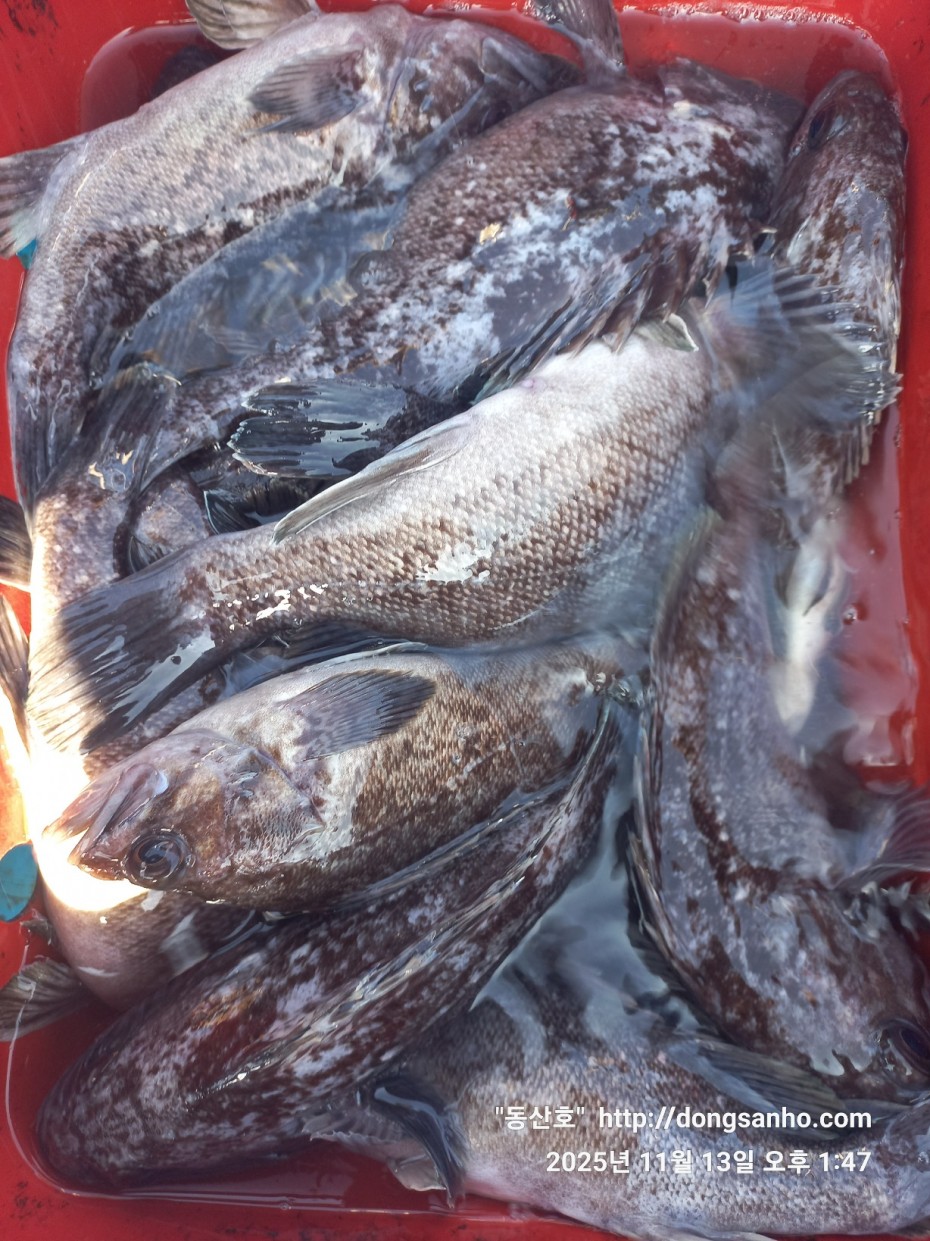 efee4ef6647736092ff8538e2f4cf72d_1763050