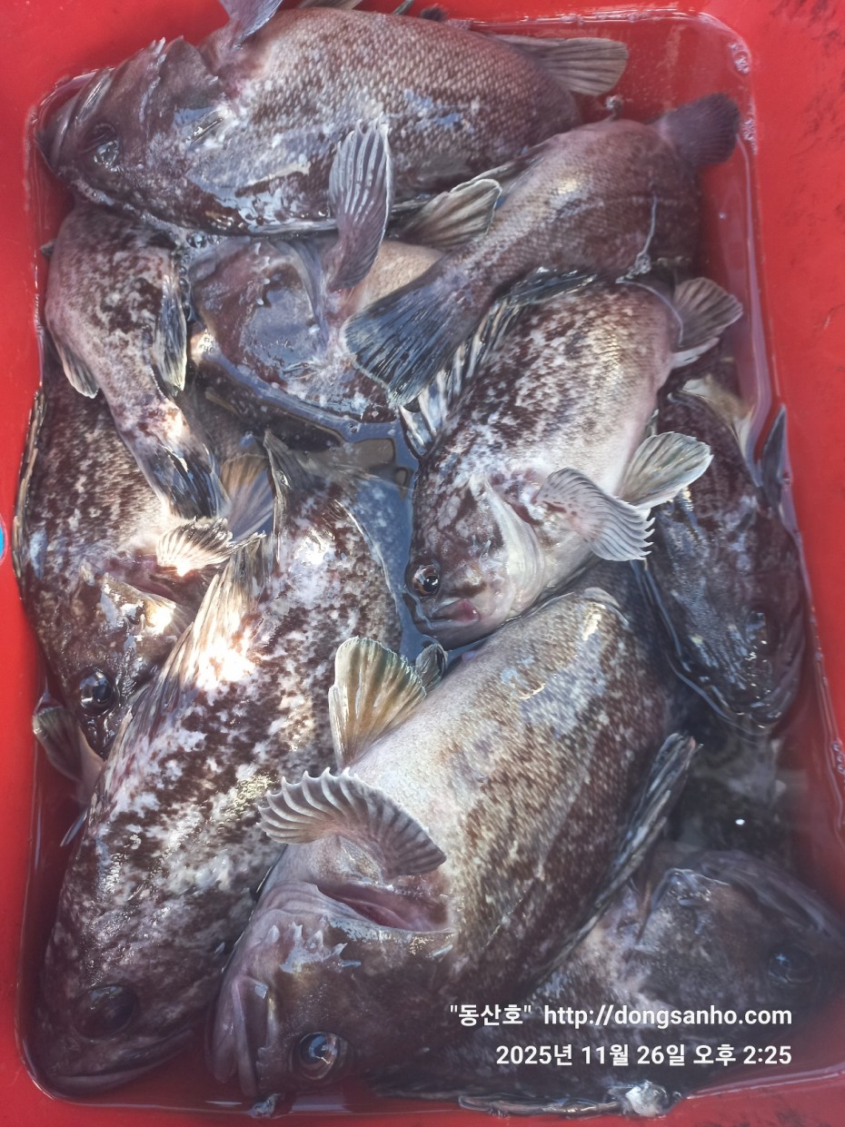 fabdaf0de502a0ded18254e9ca67439d_1764201