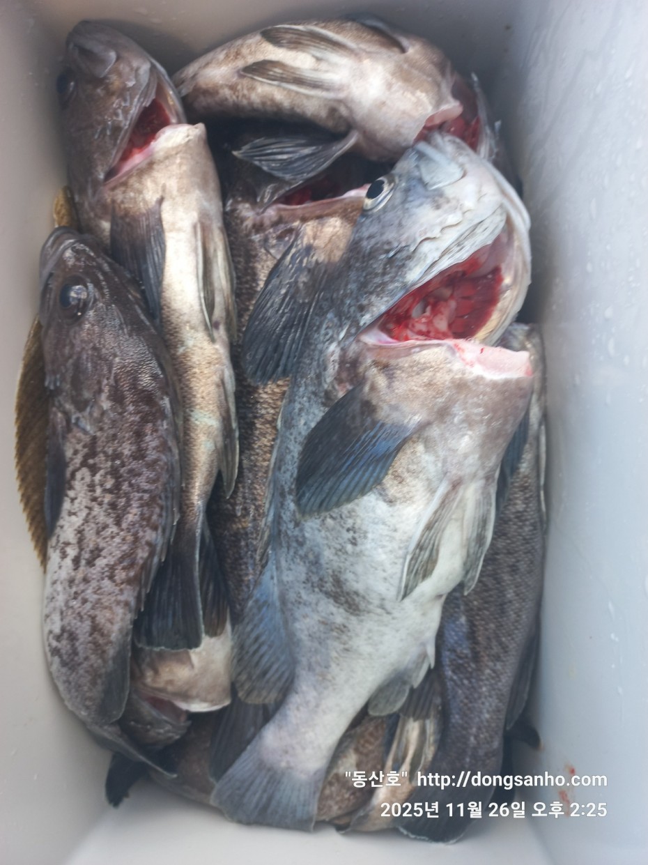 fabdaf0de502a0ded18254e9ca67439d_1764201