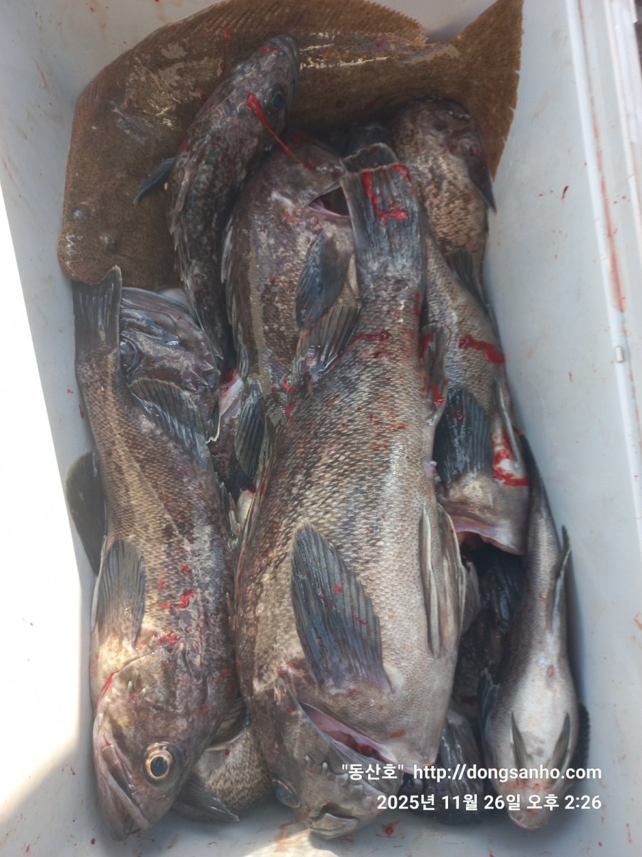 fabdaf0de502a0ded18254e9ca67439d_1764201