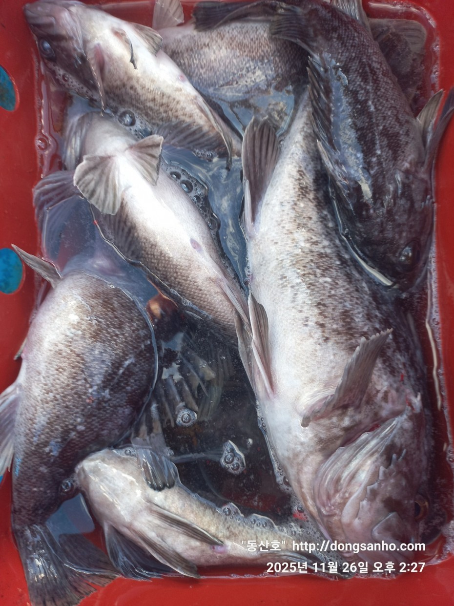 fabdaf0de502a0ded18254e9ca67439d_1764201