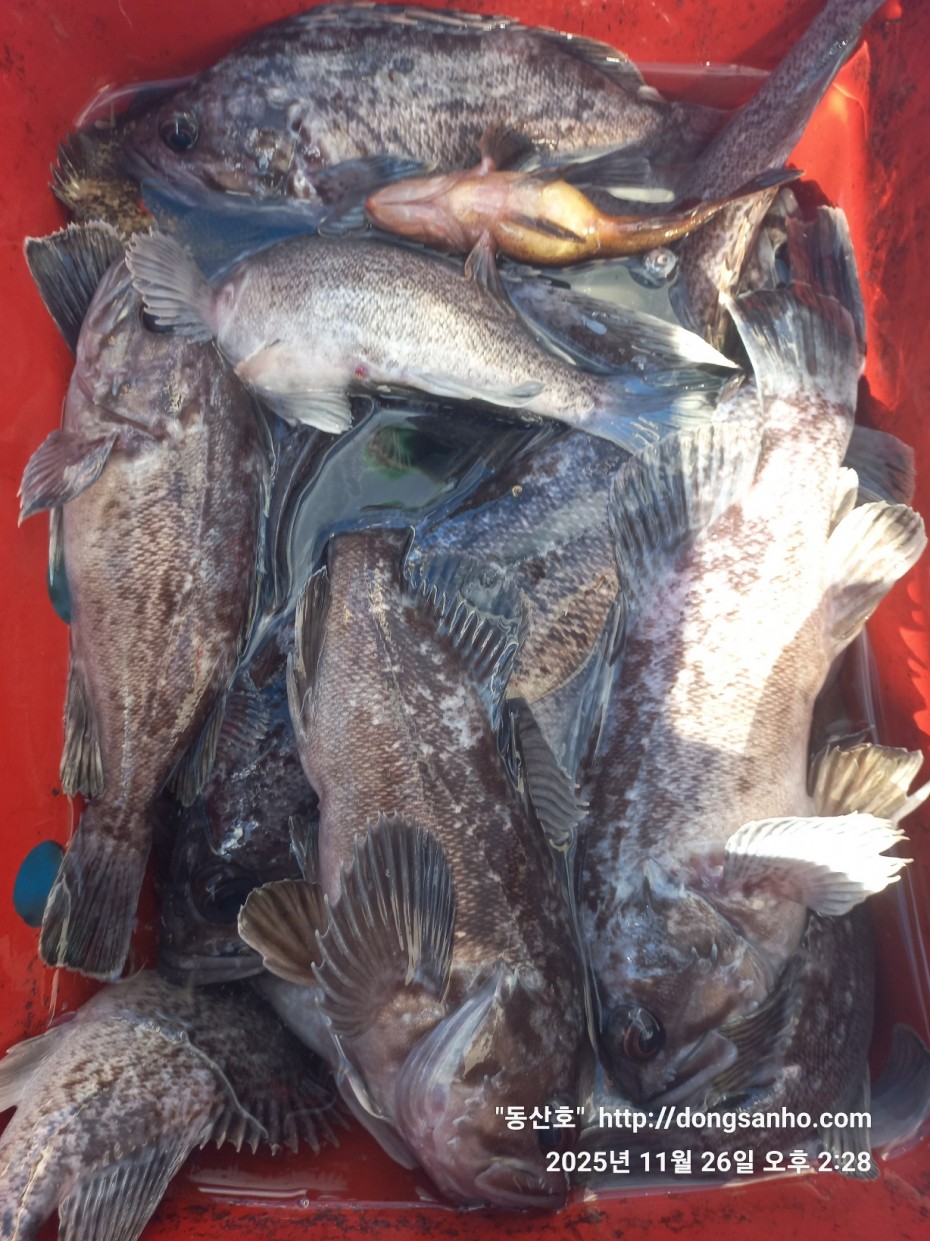 fabdaf0de502a0ded18254e9ca67439d_1764201